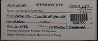 Image Associated With the Occurence